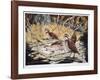 Quail-Allen Friedman-Framed Limited Edition