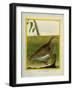 Quail-Georges-Louis Buffon-Framed Giclee Print