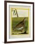 Quail-Georges-Louis Buffon-Framed Giclee Print