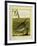 Quail-Georges-Louis Buffon-Framed Giclee Print