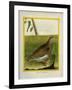 Quail-Georges-Louis Buffon-Framed Giclee Print