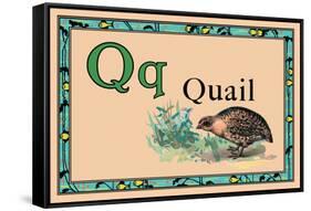Quail-null-Framed Stretched Canvas