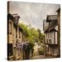 Quaint French Houses and Cobblestone Street-Mike Kemp-Stretched Canvas