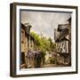 Quaint French Houses and Cobblestone Street-Mike Kemp-Framed Photographic Print