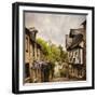 Quaint French Houses and Cobblestone Street-Mike Kemp-Framed Photographic Print