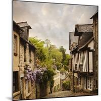 Quaint French Houses and Cobblestone Street-Mike Kemp-Mounted Photographic Print