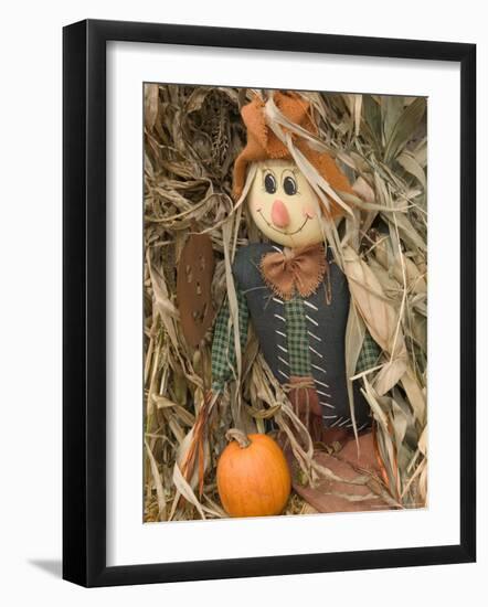 Quaint Village Decorations, Wisconsin, USA-Walter Bibikow-Framed Photographic Print