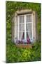 Quaint window, Cluny, Maconnaise, France-Lisa S. Engelbrecht-Mounted Photographic Print