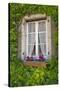 Quaint window, Cluny, Maconnaise, France-Lisa S. Engelbrecht-Stretched Canvas
