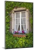 Quaint window, Cluny, Maconnaise, France-Lisa S. Engelbrecht-Mounted Photographic Print