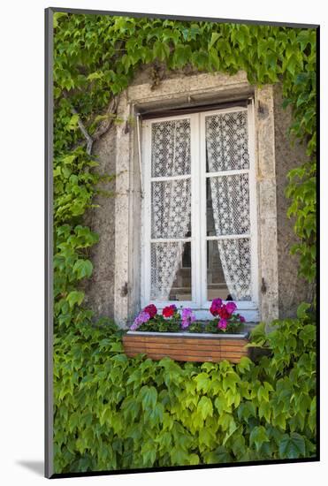 Quaint window, Cluny, Maconnaise, France-Lisa S. Engelbrecht-Mounted Photographic Print
