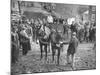 Quaker Farm Auction-null-Mounted Photographic Print