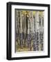 Quaking Aspen in Fall, Rocky Mountain National Park, Colorado, USA-Rolf Nussbaumer-Framed Photographic Print