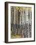 Quaking Aspen in Fall, Rocky Mountain National Park, Colorado, USA-Rolf Nussbaumer-Framed Photographic Print