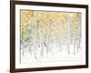 Quaking Aspens-Shelley Lake-Framed Art Print