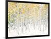 Quaking Aspens-Shelley Lake-Framed Art Print