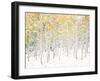 Quaking Aspens-Shelley Lake-Framed Premium Giclee Print