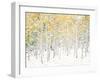 Quaking Aspens-Shelley Lake-Framed Premium Giclee Print