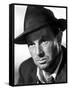 Quand la ville dort THE ASPHALT JUNGLE by John Huston with Sterling Hayden, 1950 (b/w photo)-null-Framed Stretched Canvas