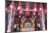 Quang Trieu (Cantonese) Assembly Hall, Hoi An, Quang Nam, Vietnam, Indochina, Southeast Asia, Asia-Ian Trower-Mounted Photographic Print