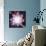 Quantised Orbits of the Planets-Mehau Kulyk-Photographic Print displayed on a wall