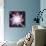 Quantised Orbits of the Planets-Mehau Kulyk-Mounted Photographic Print displayed on a wall