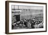 Quantities of Codfish Drying in the Sun at Aveiro by the Mouth of the Vouga, Portugal, C1930S-AW Cutler-Framed Giclee Print