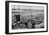 Quantities of Codfish Drying in the Sun at Aveiro by the Mouth of the Vouga, Portugal, C1930S-AW Cutler-Framed Giclee Print