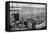 Quantities of Codfish Drying in the Sun at Aveiro by the Mouth of the Vouga, Portugal, C1930S-AW Cutler-Framed Stretched Canvas