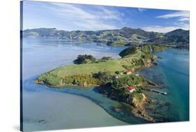 Quarantine Island and Otago Harbour, Dunedin, Otago, South Island, New Zealand-David Wall-Stretched Canvas