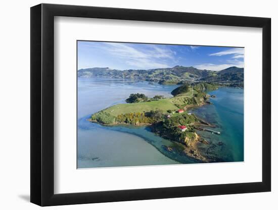 Quarantine Island and Otago Harbour, Dunedin, Otago, South Island, New Zealand-David Wall-Framed Photographic Print