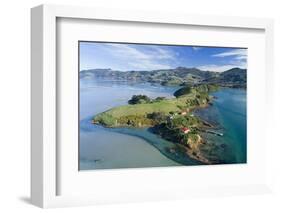 Quarantine Island and Otago Harbour, Dunedin, Otago, South Island, New Zealand-David Wall-Framed Photographic Print