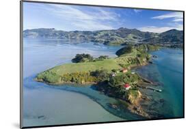 Quarantine Island and Otago Harbour, Dunedin, Otago, South Island, New Zealand-David Wall-Mounted Photographic Print