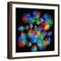 Quark Structure of Silicon Atom Nucleus-null-Framed Premium Photographic Print