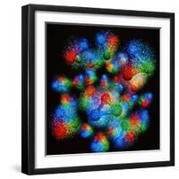 Quark Structure of Silicon Atom Nucleus-null-Framed Premium Photographic Print