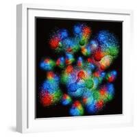 Quark Structure of Silicon Atom Nucleus-null-Framed Premium Photographic Print