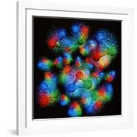 Quark Structure of Silicon Atom Nucleus-null-Framed Photographic Print