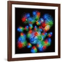 Quark Structure of Silicon Atom Nucleus-null-Framed Photographic Print