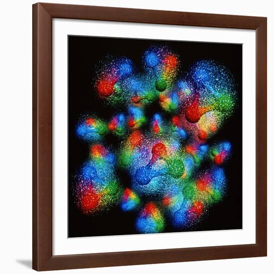 Quark Structure of Silicon Atom Nucleus-null-Framed Photographic Print
