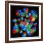 Quark Structure of Silicon Atom Nucleus-null-Framed Photographic Print