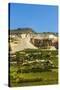 Quarry for Highly Prized Pearl Marble-Rob-Stretched Canvas