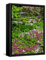 Quarry Garden, Wilmington, Delaware, USA, Deleware-Jay O'brien-Framed Stretched Canvas