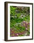 Quarry Garden, Wilmington, Delaware, USA, Deleware-Jay O'brien-Framed Photographic Print