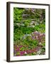 Quarry Garden, Wilmington, Delaware, USA, Deleware-Jay O'brien-Framed Photographic Print