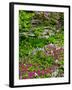 Quarry Garden, Wilmington, Delaware, USA, Deleware-Jay O'brien-Framed Photographic Print