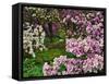 Quarry Garden, Wilmington, Delaware, USA, Deleware-Jay O'brien-Framed Stretched Canvas