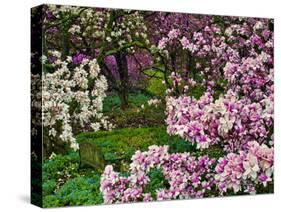 Quarry Garden, Wilmington, Delaware, USA, Deleware-Jay O'brien-Stretched Canvas