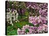 Quarry Garden, Wilmington, Delaware, USA, Deleware-Jay O'brien-Stretched Canvas