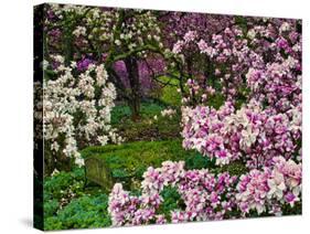 Quarry Garden, Wilmington, Delaware, USA, Deleware-Jay O'brien-Stretched Canvas