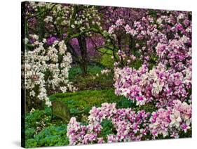 Quarry Garden, Wilmington, Delaware, USA, Deleware-Jay O'brien-Stretched Canvas